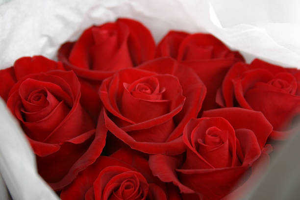 Beautiful bouquet of red roses and green leaves on a lace tablecloth. Space for copy
