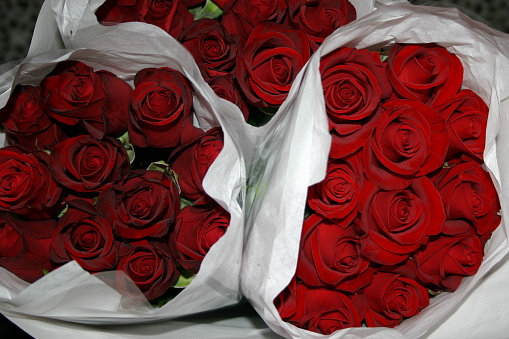 Beautiful roses - bright red and dark red, fresh from supplier, wrapped in white paper.