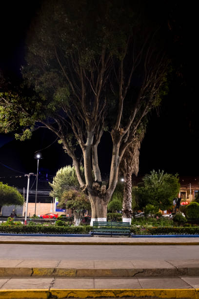istock Image at night of a plaza or main square in Cusco Peru. 1353522712