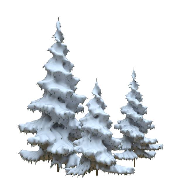istock Winter fir trees under the snow isolated on white background 3d illustration 1353522980