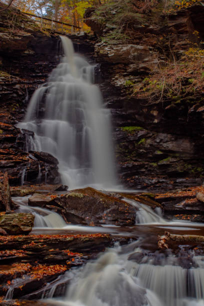 istock Pennsylvania waterfall with autumn leaves 1353526616