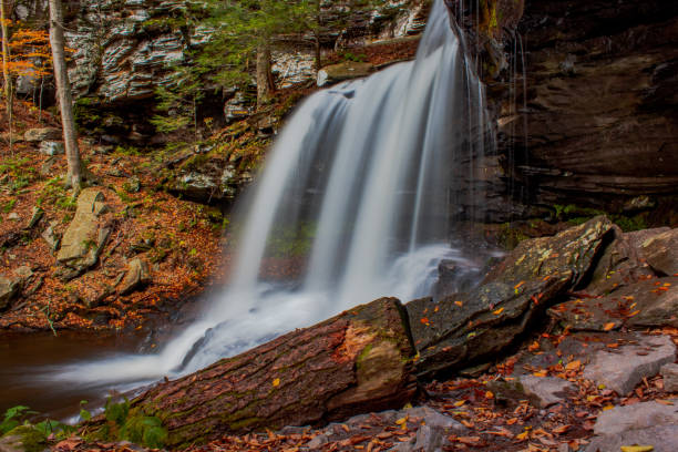 istock Pennsylvania waterfall with autumn leaves 1353526632