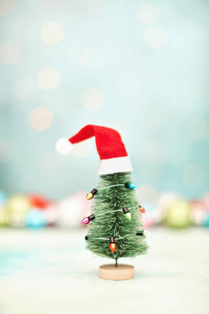 istock Christmas Background with Tiny Christmas Tree Decorated in String Lights and a Santa Hat 1353527554