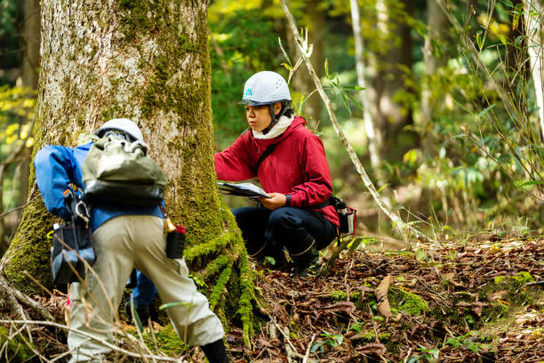 istock Two researchers or environmentalists with data gathering equipment in the forest 1353530222