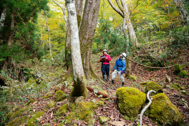 istock Two researchers or environmentalists with data gathering equipment in the forest 1353531203