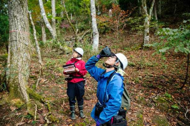 Two researchers or environmentalists with data gathering equipment in the forest