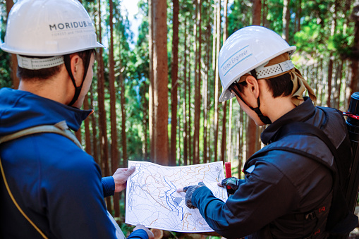 Selective Logging Map Two Forestry Workers Review A Topographic Map At A Selective Logging ...