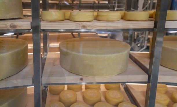 istock Cheese heads  in glass cases 1353538209