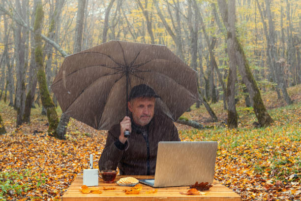 Free picture: autumn, forest, business, technology, wireless, wood, work