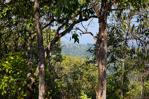 View from forest into mountain landscape in Chiang Mai province