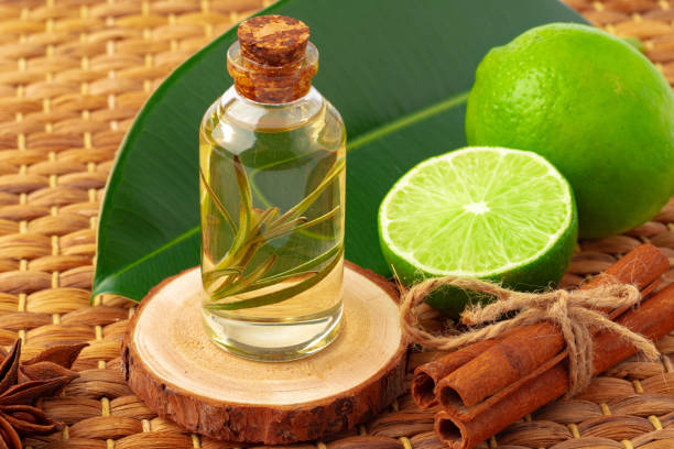 istock Bottle of essential oil and green leaf 1353550535