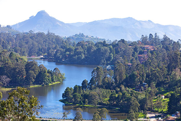 istock Tamil Nadu, India - Kodaikanal 135355132
