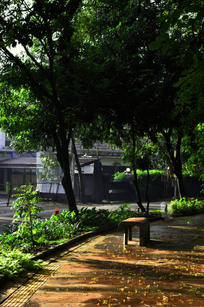 istock pavement in the city after rain 1353551395