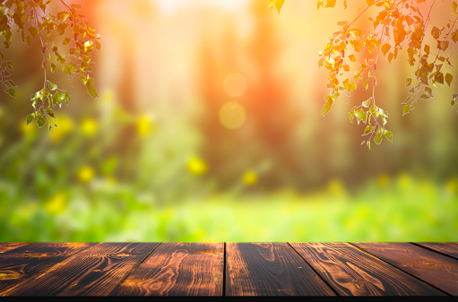 Forest wooden table background. Summer sunny meadow with green grass, forest trees background and rustic wooden surface for goods, products, food. High quality photo