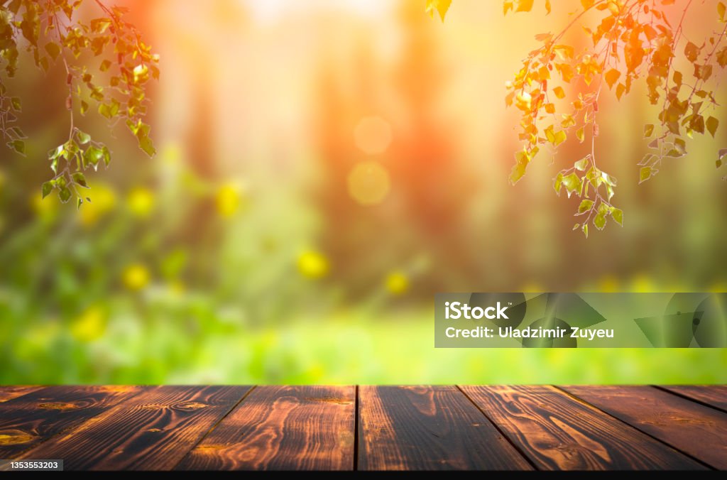 Forest wooden table background. Summer sunny meadow with green grass, forest trees background and rustic wooden surface for goods, products, food Forest wooden table background. Summer sunny meadow with green grass, forest trees background and rustic wooden surface for goods, products, food. High quality photo Headquarters Stock Photo