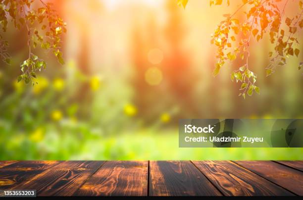 Forest Wooden Table Background Summer Sunny Meadow With Green Grass Forest Trees Background And Rustic Wooden Surface For Goods Products Food Stock Photo - Download Image Now