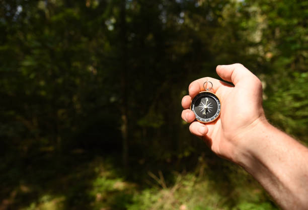istock Compass in hand at forest. Tourist compass for orientation on the terrain. 1353558027