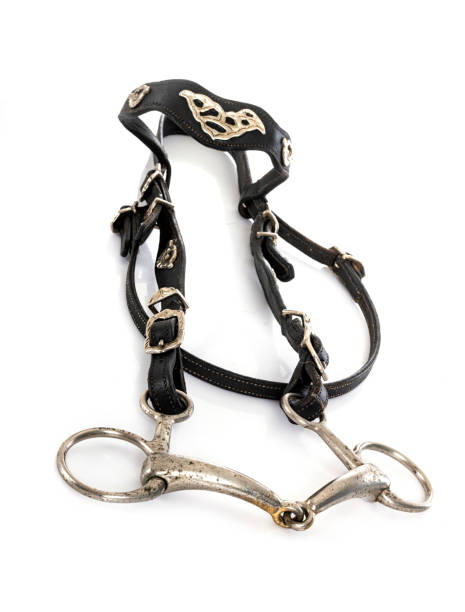 bride de snaffle - leather harness photos et images de collection