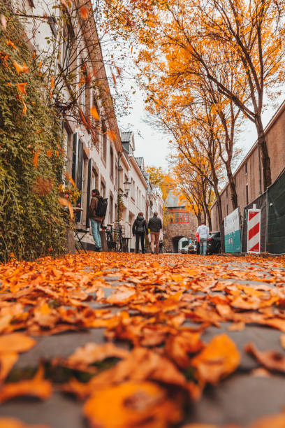 Maastricht, Netherlands - October 16, 2021: Street view in autumn in Maastricht, a city in Limburg, the Netherlands.