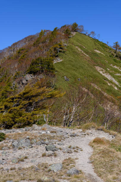 istock Mount Goshiki in the autumn 1353565823