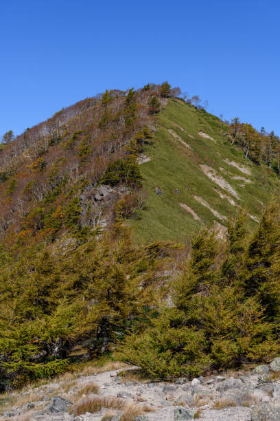 istock Mount Goshiki in the autumn 1353565950