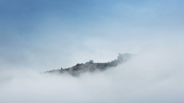 istock Mist covering an autumn forest in the morning. 1353566056