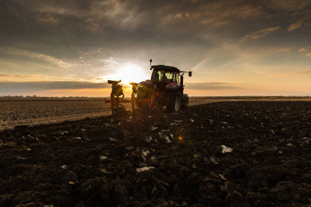 istock tractor plows the field in the evening at sunset. 1353567852