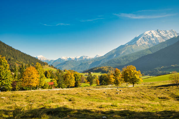 istock Beautiful Alpine landscape in Bavaria and Austria 1353569048