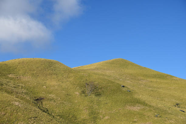 istock Grassy mountain against blue Sky. 1353572169
