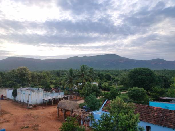 istock Rural area houses surrounded by forest and mountains 1353572825