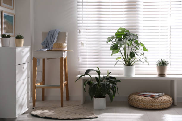 istock Beautiful potted plants on window sill at home 1353579029