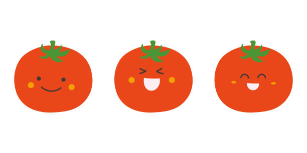 illustrazioni stock, clip art, cartoni animati e icone di tendenza di carattere del viso del pomodoro - campo di pomodori