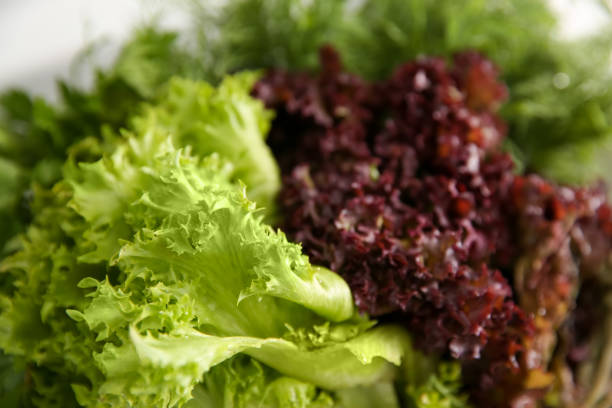 istock Fresh lettuce leaves as background, closeup view 1353581597