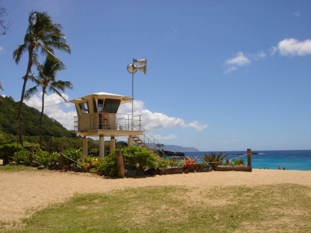 istock A beach of Oahu, Hawaii 1353583010