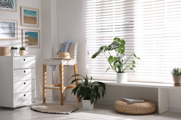 istock Beautiful potted plants on window sill at home 1353583573