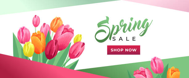 Spring sale banner. Bouquet of red, pink and yellow tulips on a white background. An advertising, selling concept. Promotion offer poster with flowers. Spring sale banner. Bouquet of red, pink and yellow tulips on a white background. An advertising, selling concept. Promotion offer poster with flowers bouquet backgrounds spring tulip stock illustrations