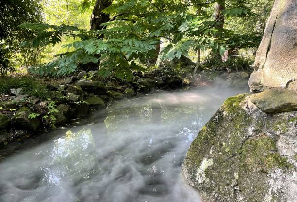 istock foggy dew on the river during sunset 1353586175