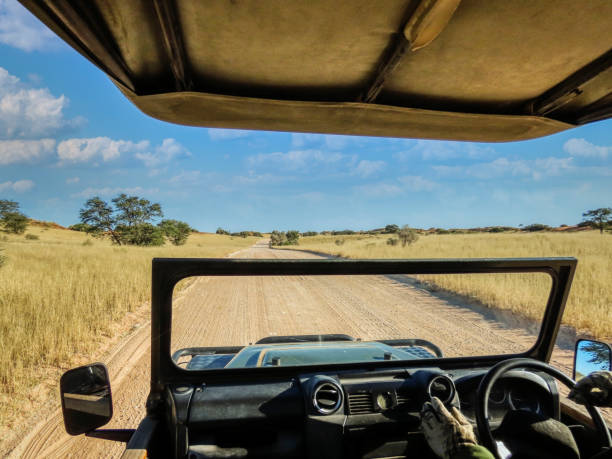 4x4 safari vehicle driving on a dirt road stock photo