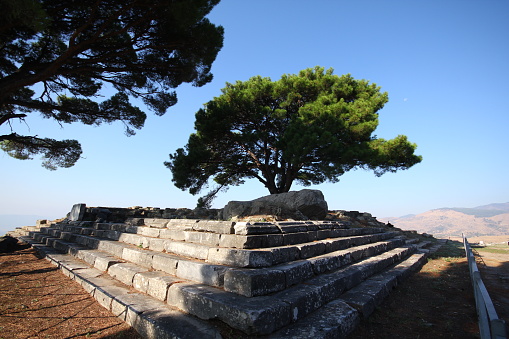 Bergama, Izmir, Turkey-September 13, 2014: Stairs and a tree from the Zeus Altar in the Kingdom of Pergamon.