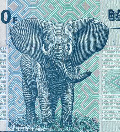 Macro Close-up of Congo Banknote African Elephant Pattern Design