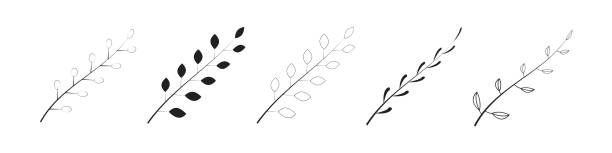 Black laurels branches. Vector isolated illustration. Vintage laurel wreaths. Black laurels branches. Vector isolated illustration. Vintage laurel wreaths. EPS 10. laureat stock illustrations