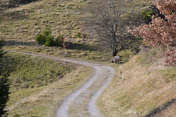 carretera de tierra - fahrspur fotografías e imágenes de stock