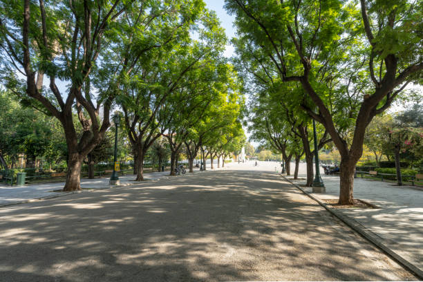 Athens, Greece. November 2021. An avenue in the tree-lined park in front of the Zappeion, a building dating back to around 1880.