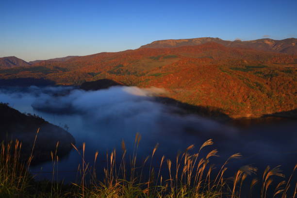 istock Valley of autumn leaves 1353591361