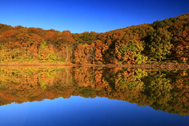 istock Valley of autumn leaves 1353591374