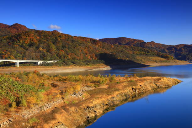 istock Valley of autumn leaves 1353591630