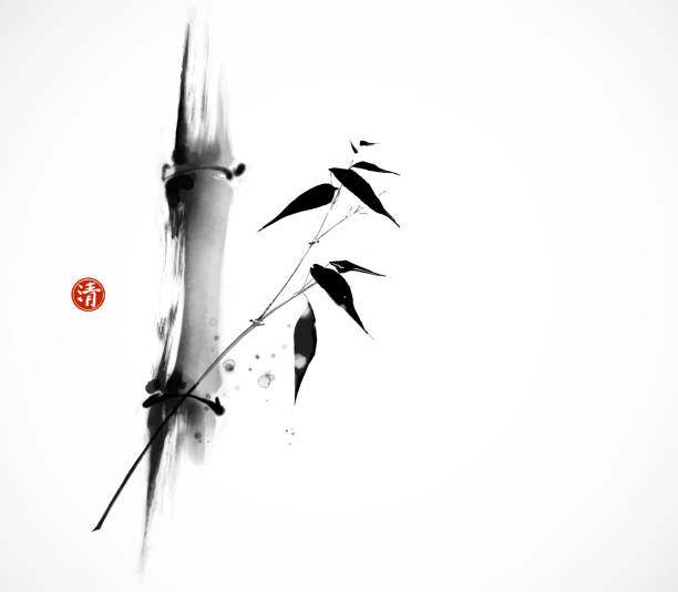 Ink painting with bamboo tree in simple minimalist style. Traditional oriental ink painting sumi-e, u-sin, go-hua. Hieroglyph - clarity. Ink painting with bamboo tree in simple minimalist style. Traditional oriental ink painting sumi-e, u-sin, go-hua. Hieroglyph - clarity bamboo plant stock illustrations
