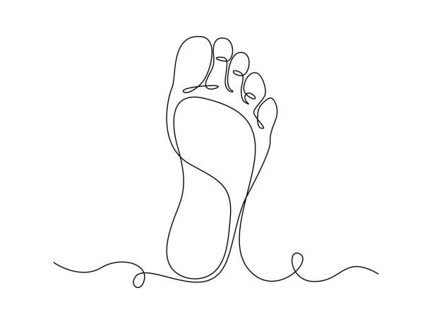 One continuous line drawing of bare foot. Elegance female leg in simple linear style. Concept of Wellness healthy massage and Care about skin. Editable stroke. Doodle vector illustration One continuous line drawing of bare foot. Elegance female leg in simple linear style. Concept of Wellness healthy massage and Care about skin. Editable stroke. Doodle vector illustration. high heel footprint stock illustrations