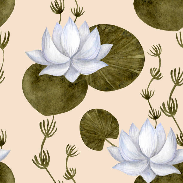 istock White water lily and green floated leaves on a beige background. 1353594652