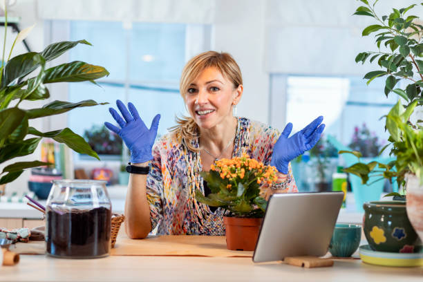istock Taking care of houseplants 1353596502